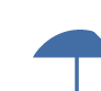 Umbrella Icon